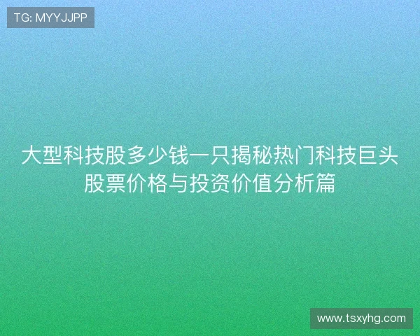 大型科技股多少钱一只揭秘热门科技巨头股票价格与投资价值分析篇